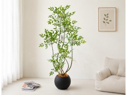Green Plants