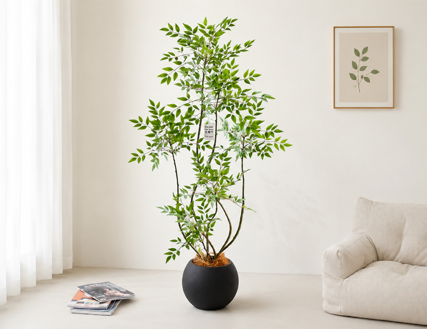 Green Plants